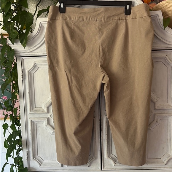 5 for $25! Terra & Sky Mid Rise Straight-Leg Capri Dress Pant Size 2X (20-22 W) - Picture 7 of 12